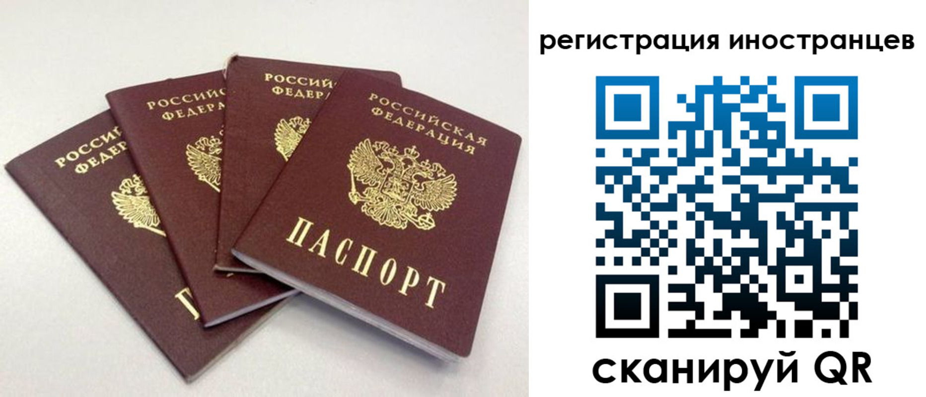 временная регистрация для школы в Сухиничи